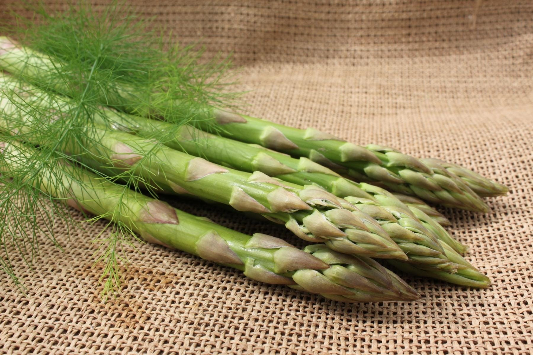 Asparagus