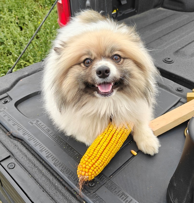 will cuddle anything. 