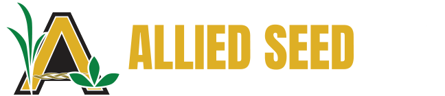 Allied Seed